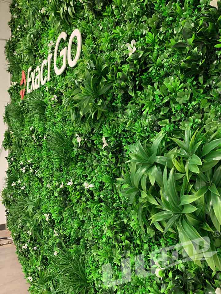 仿真植物墻效果圖