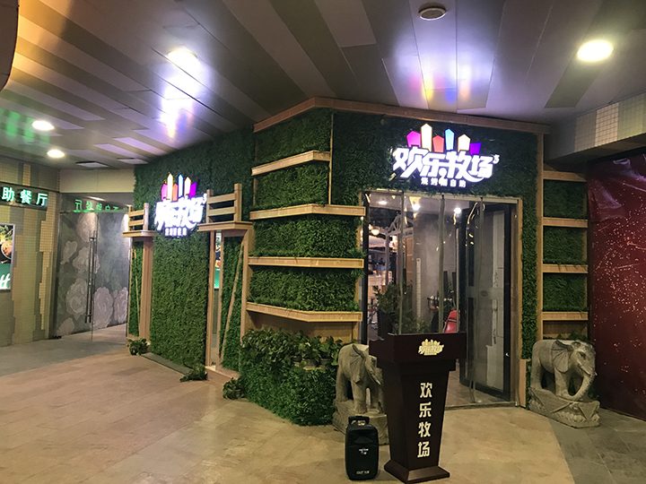 室內(nèi)仿真植物墻